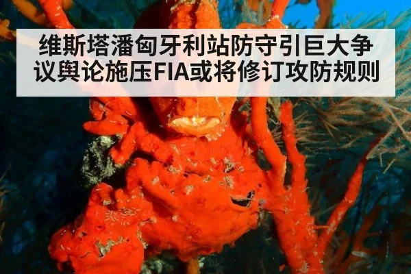 维斯塔潘匈牙利站防守引巨大争议舆论施压FIA或将修订攻防规则