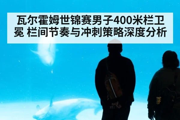 瓦尔霍姆世锦赛男子400米栏卫冕 栏间节奏与冲刺策略深度分析